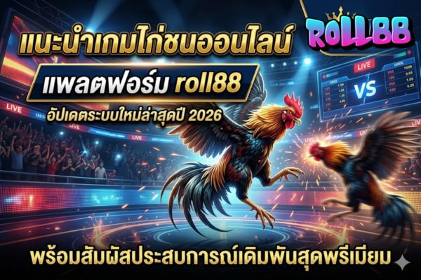 แนะนำเกมไก่ชนออนไลน์บนแพลตฟอร์ม roll88 อัปเดตระบบใหม่ล่าสุดปี 2026 พร้อมสัมผัสประสบการณ์เดิมพันสุดพรีเมียม